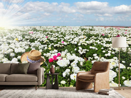 photo-wallpaper-spring-flower-meadow