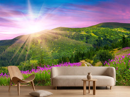 photo-wallpaper-a-summer-landscape-at-sunrise