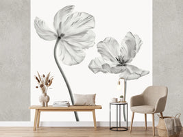 photo-wallpaper-same-tulip-front-and-backview
