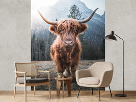 photo-wallpaper-highland-cow-with-sweeping-horns-before-misty-mountains