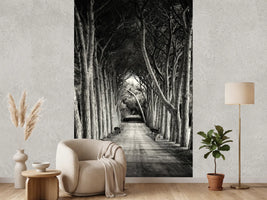 photo-wallpaper-alley