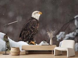 photo-wallpaper-proud-but-cold-x