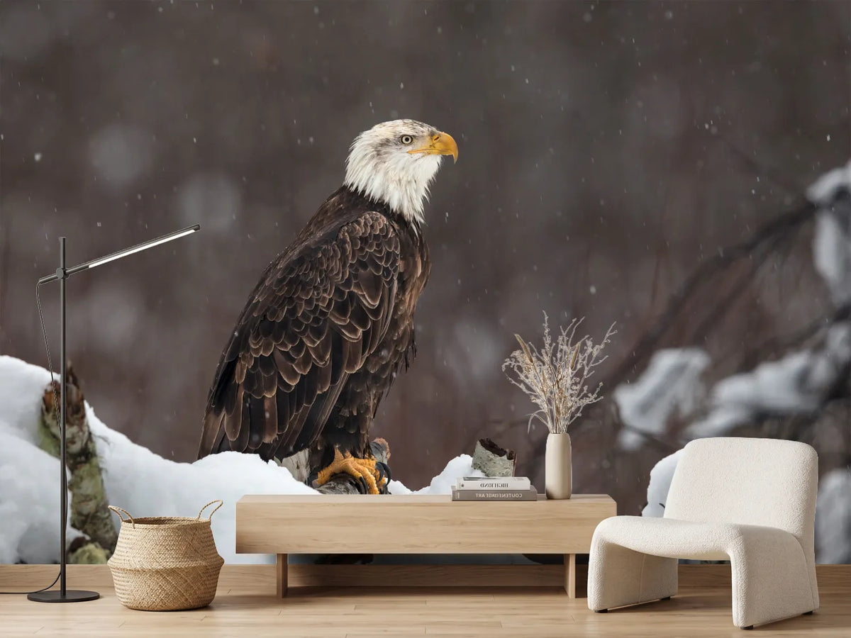photo-wallpaper-proud-but-cold-x