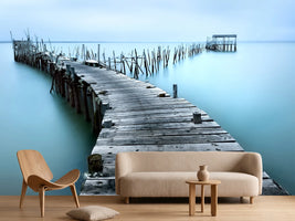 photo-wallpaper-carrasqueira-ii