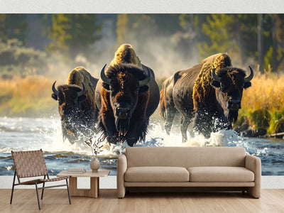photo-wallpaper-bison-wading-through-a-sunlit-river-amid-flying-spray