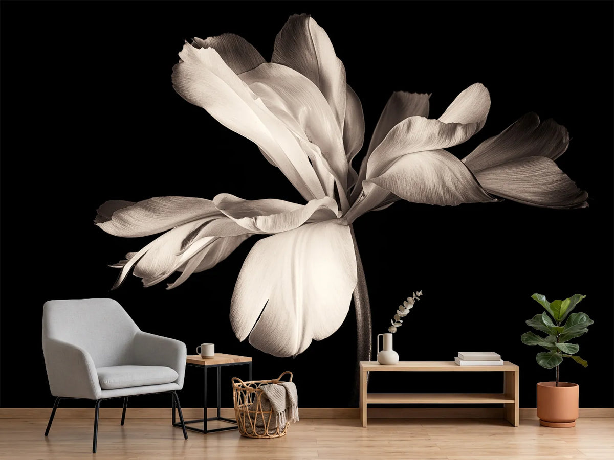 photo-wallpaper-simplicity