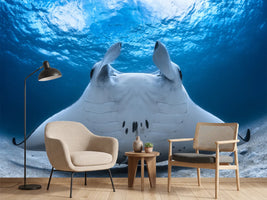 photo-wallpaper-take-off-manta-airline
