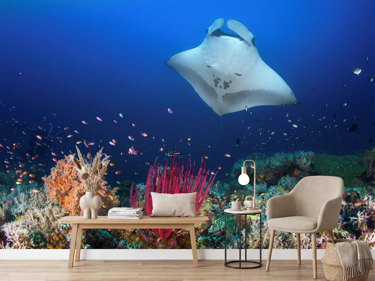 photo-wallpaper-ocean-manta-ray-on-the-reef-x