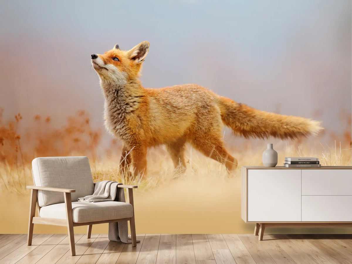photo-wallpaper-red-fox-in-golden-grass-gazing-upward-into-soft-light