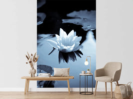 photo-wallpaper-black-and-white-photograph-waterlily