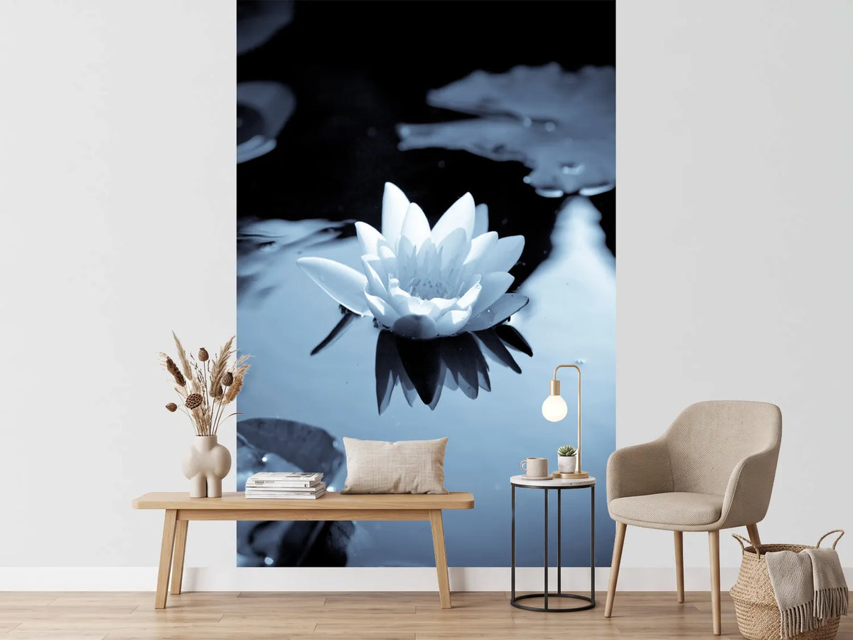 photo-wallpaper-black-and-white-photograph-waterlily