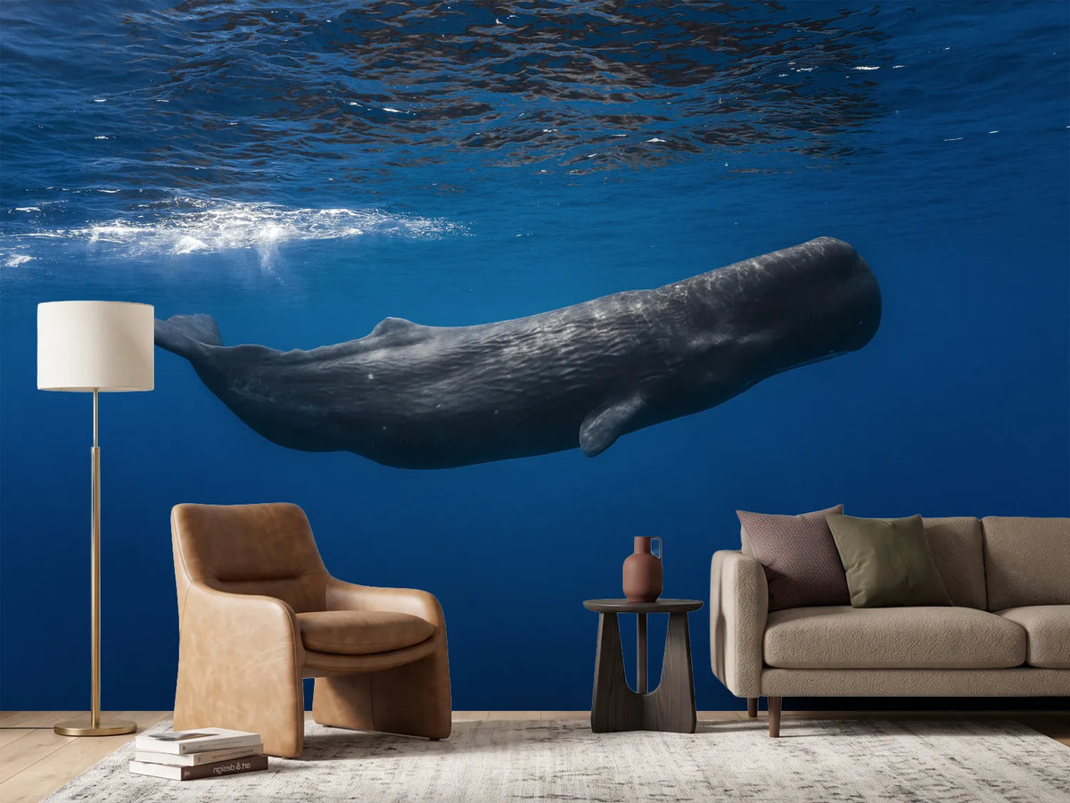 photo-wallpaper-sperm-whale