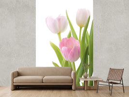 photo-wallpaper-the-tulips-trio