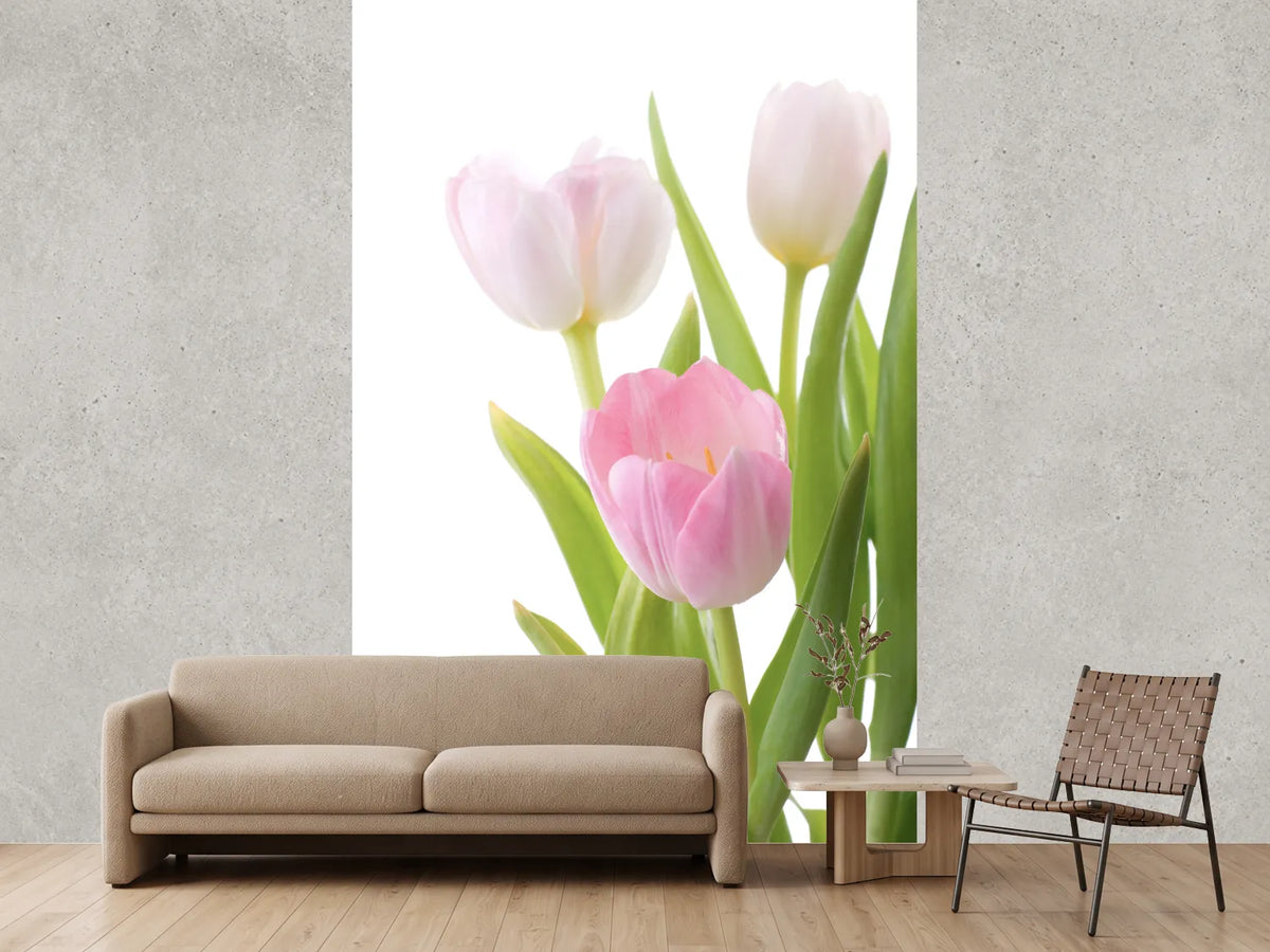 photo-wallpaper-the-tulips-trio