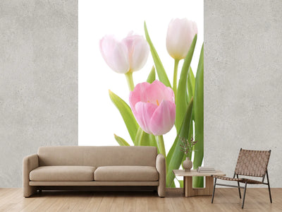 photo-wallpaper-the-tulips-trio
