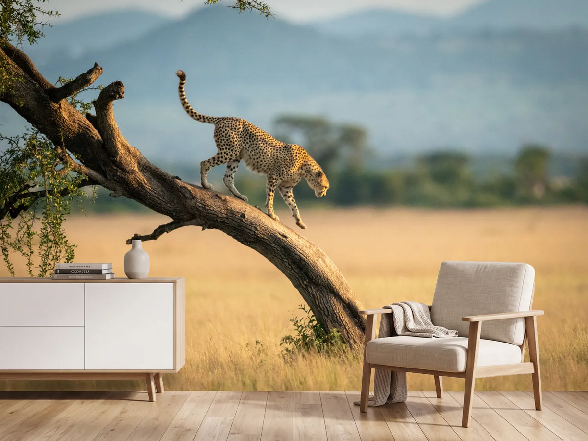 photo-wallpaper-cheetah-walks-down-twisted-tree-in-savannah