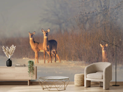 photo-wallpaper-three-deer-winter-morning