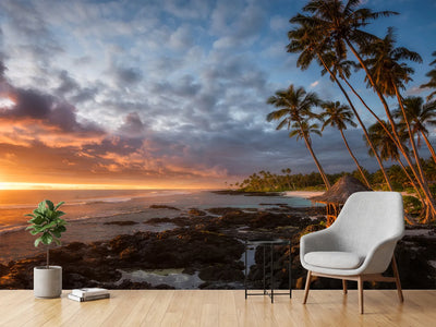 photo-wallpaper-return-to-paradise