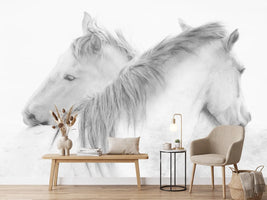 photo-wallpaper-horses