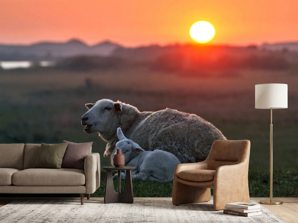 photo-wallpaper-sleep-well-sheep-x
