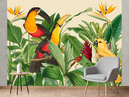 photo-wallpaper-exotic-rainforest-birds