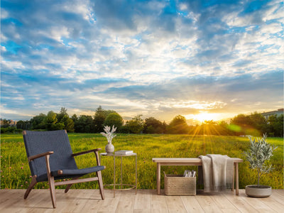 photo-wallpaper-summer-meadow-at-sundown-with-sunbeams-over-the-treeline