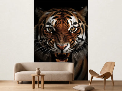 photo-wallpaper-snarling-tiger-in-the-dark-with-amber-eyes