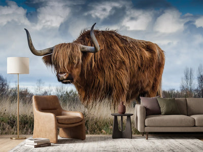 photo-wallpaper-attention-bull