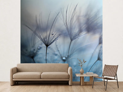 photo-wallpaper-teardrops