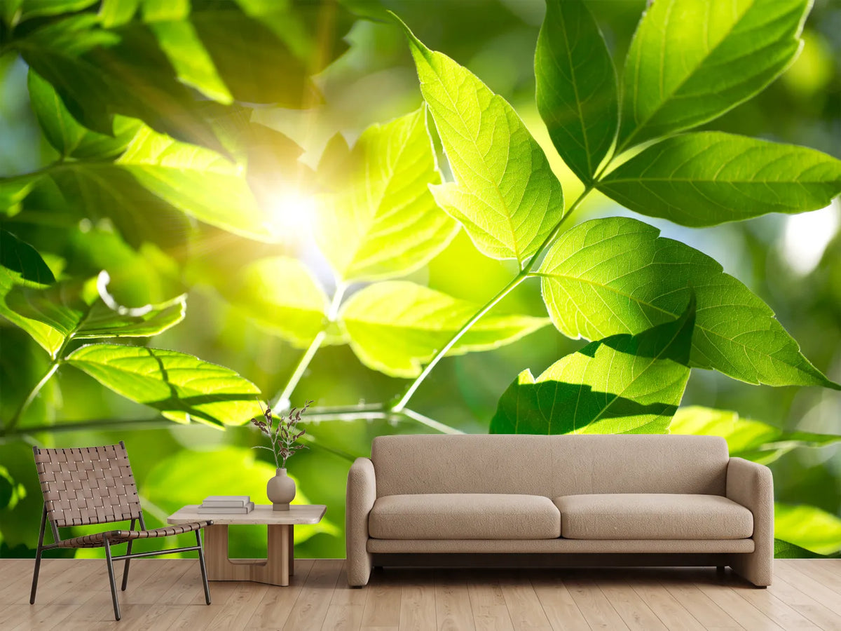 photo-wallpaper-go-green