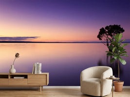photo-wallpaper-sunset-on-the-tree-in-the-water