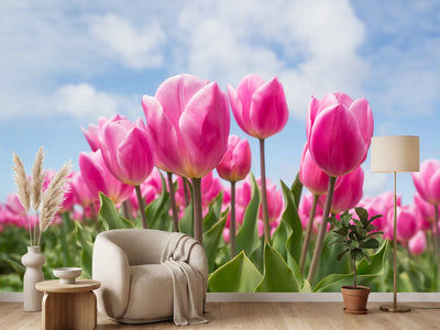 photo-wallpaper-tulip-field-in-pink