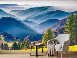 photo-wallpaper-black-forest-autumn-colors-and-haze