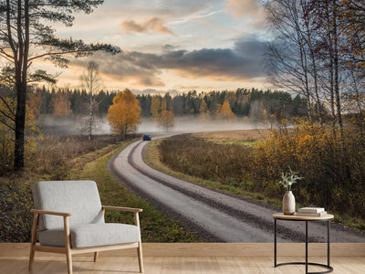 photo-wallpaper-drive-in-autumn-colors-x