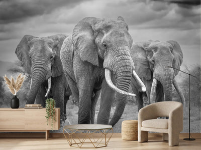 photo-wallpaper-three-majestic-elephants
