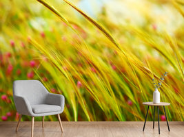 photo-wallpaper-the-wheat-field