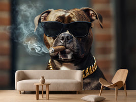 photo-wallpaper-dog-in-sunglasses-with-a-cigar-and-gold-chain