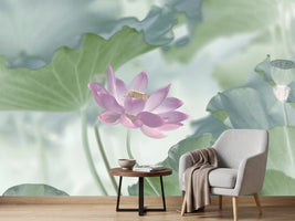 photo-wallpaper-lotus-x