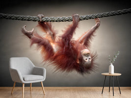 photo-wallpaper-don-t-murder-our-primeval-forests-x
