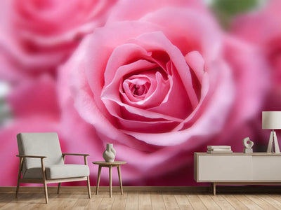 photo-wallpaper-roses-macro