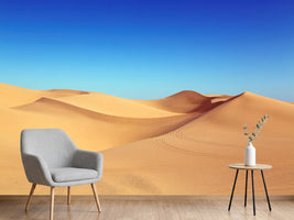 photo-wallpaper-beauty-desert