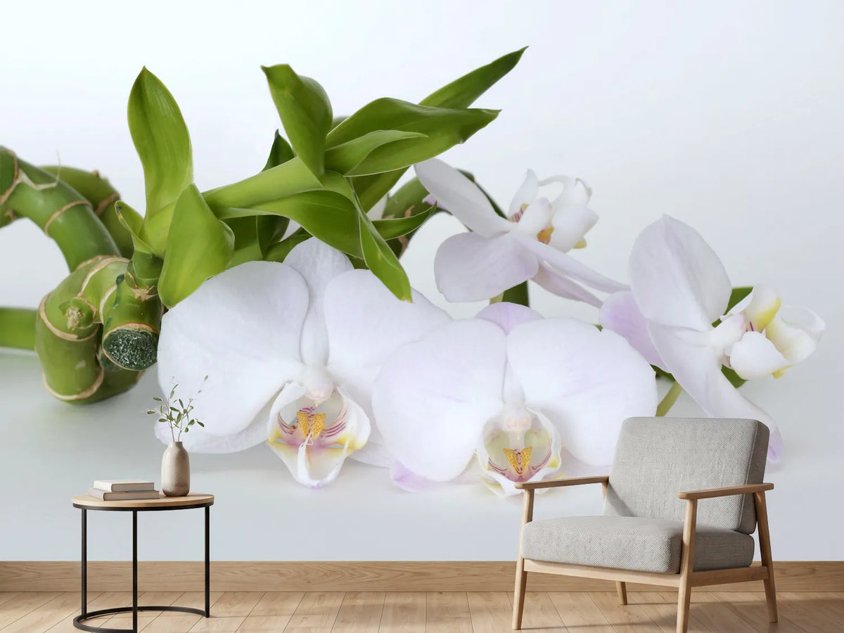 photo-wallpaper-orchid-and-bamboo