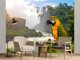 photo-wallpaper-parrot-perched-on-branch-overlooking-a-waterfall