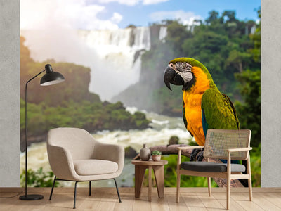 photo-wallpaper-parrot-perched-on-branch-overlooking-a-waterfall
