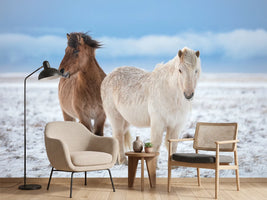 photo-wallpaper-winter-horses-in-snow