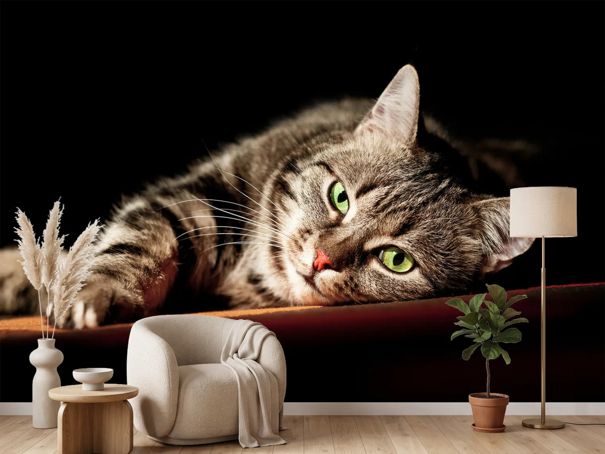 photo-wallpaper-relaxed-cat