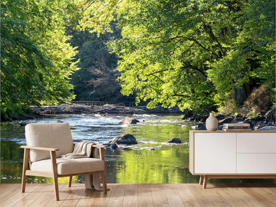 photo-wallpaper-wild-swedish-river-in-september