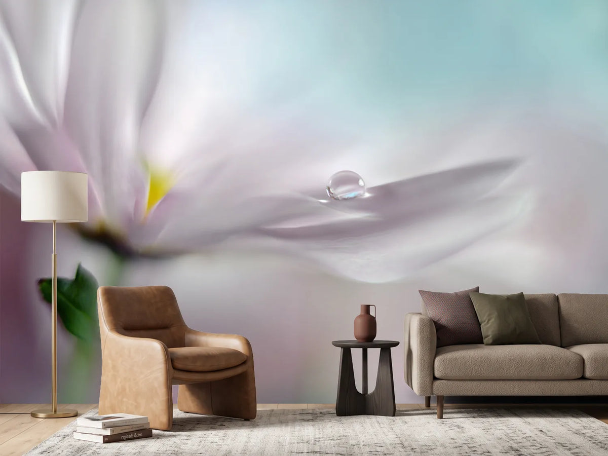 photo-wallpaper-where-dreams-come-true