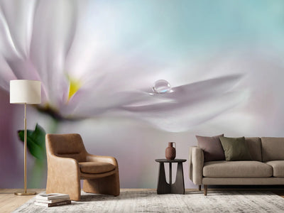 photo-wallpaper-where-dreams-come-true