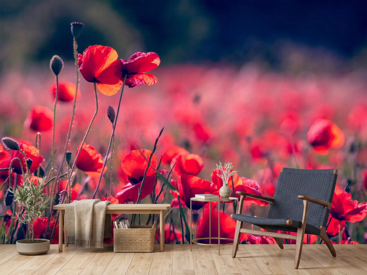 photo-wallpaper-in-the-poppy-field